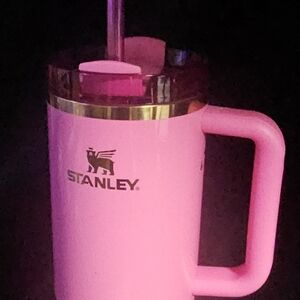 Stanley x Target GLINDA 40oz H2.0 FlowState Tumbler Wicked Collection IN HAND
